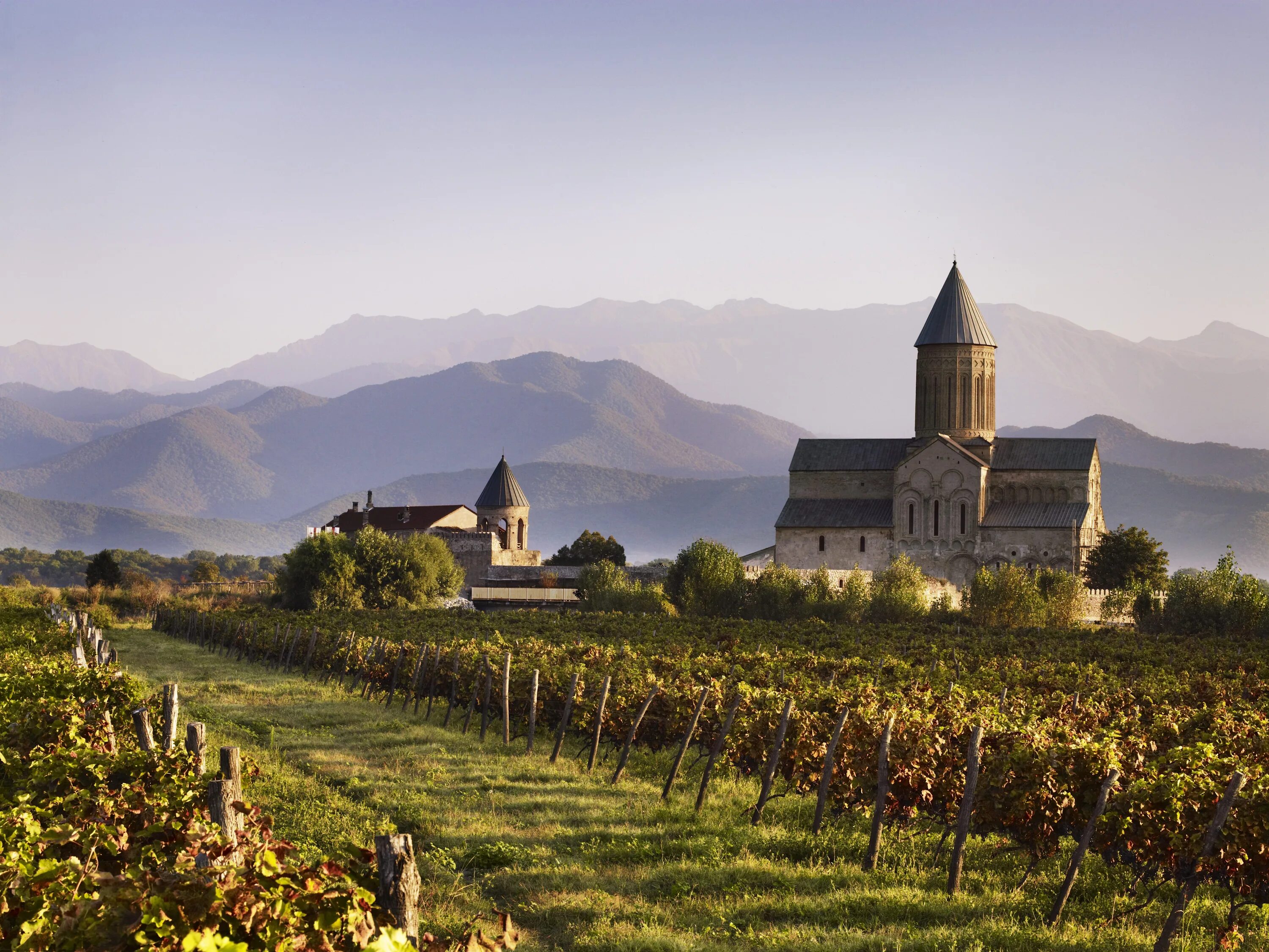 Georgia armenia. Кахетия Грузия виноградники. Монастырь Алаверди (Кахетия). Кахетия Алазанская Долина виноградники. Грузия Телави виноградники.