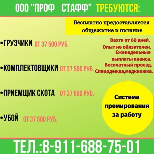 Работа северодвинск свежие вакансии для женщин. Работа в Северодвинске. Вакансии Котлас. Работа без опыта в Котласе. Работа в Новодвинске свежие вакансии.