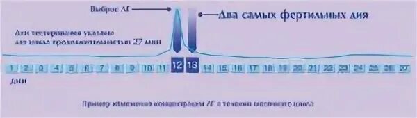 26 день цикла можно забеременеть. Вероятность забеременеть цикл. Вероятность беременности в цикле. Вероятность зачатия по дням цикла. Дни беременности в цикла вероятность.