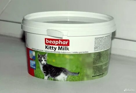 Вкус кота