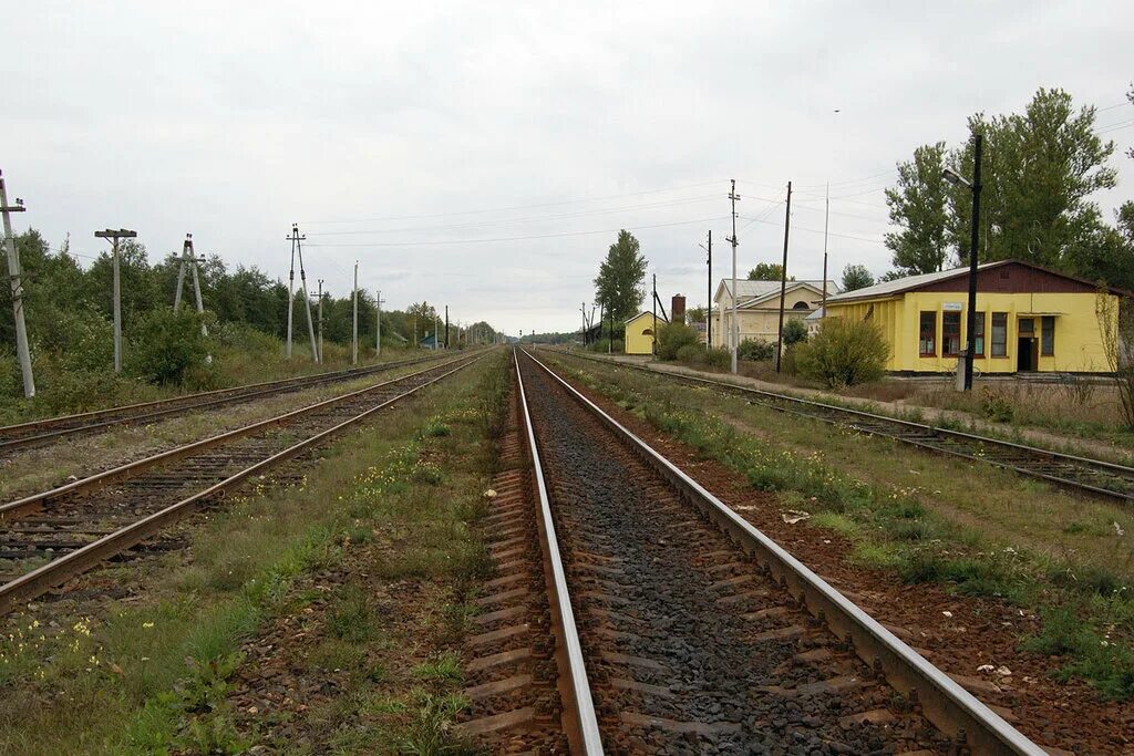 Новгородская область железная дорога. Станция Уторгош Новгородская область. Уторгош ЖД станция. Посёлок Уторгош Новгородской области. Уторгош Шимский район.