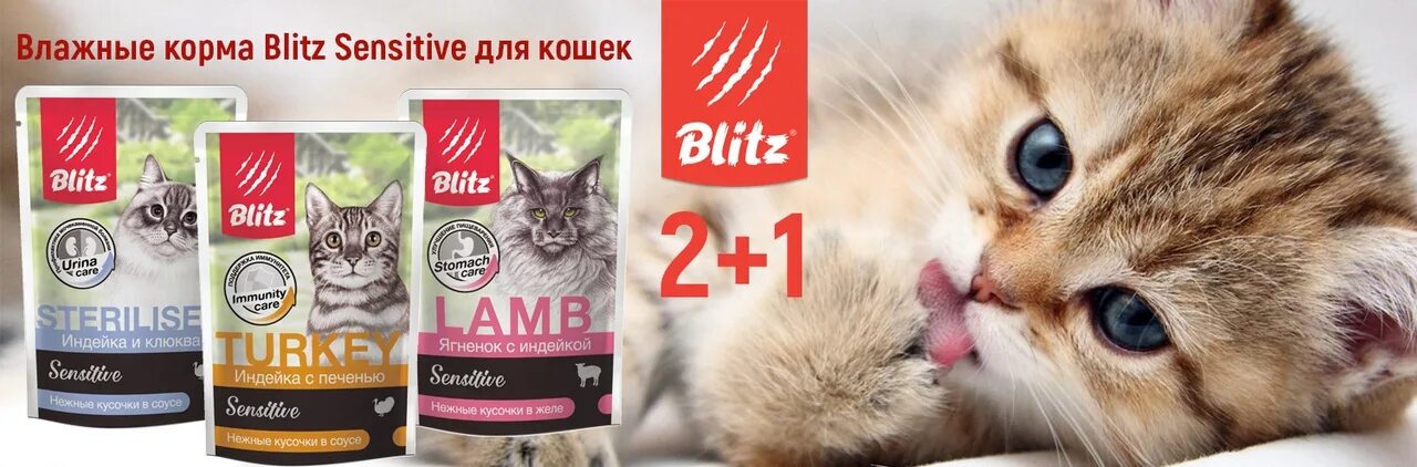 Альфа пет для кошек влажный. Корм пауч Blitz для кошек. Блитз корм для кошек паучи. Blitz Poultry корм для кошек. Blitz sensitive паучи корм для кошек.