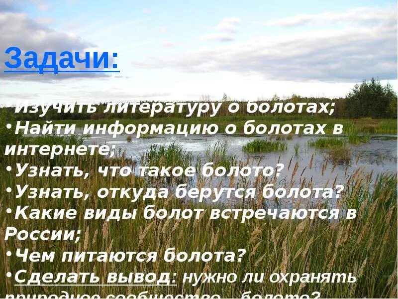 Сообщение про болото. Болото презентация. Презентация на тему болото 3 класс. Надо ли охранять болота сообщение. Доклад про болото.