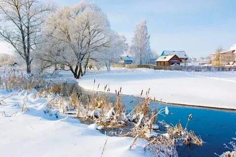 Крепким настом