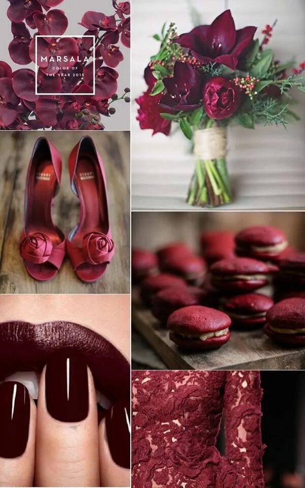 Life in colors - Timeline Photos Facebook Color of life, Color, Color splash