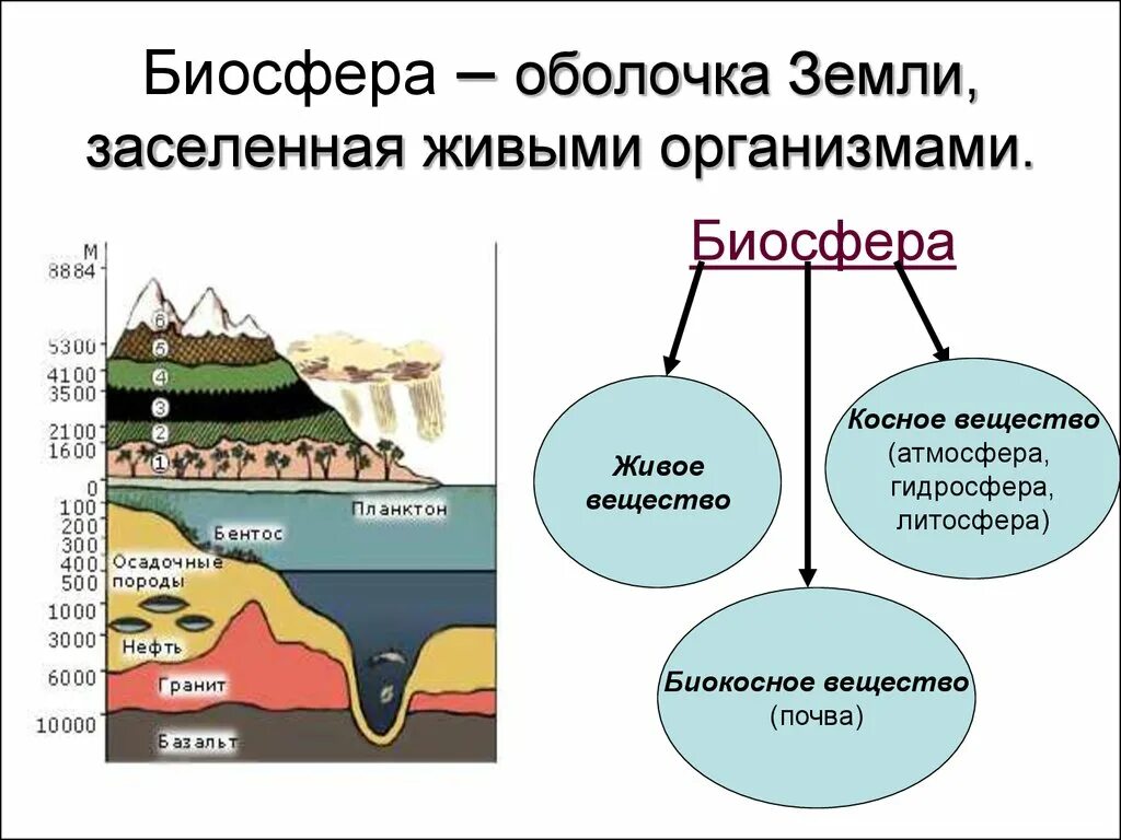 Состав биосферы 6 класс география. Биосфера. Оболочки биосферы. Биосфера и ее составные части. Границы биосферы схема.