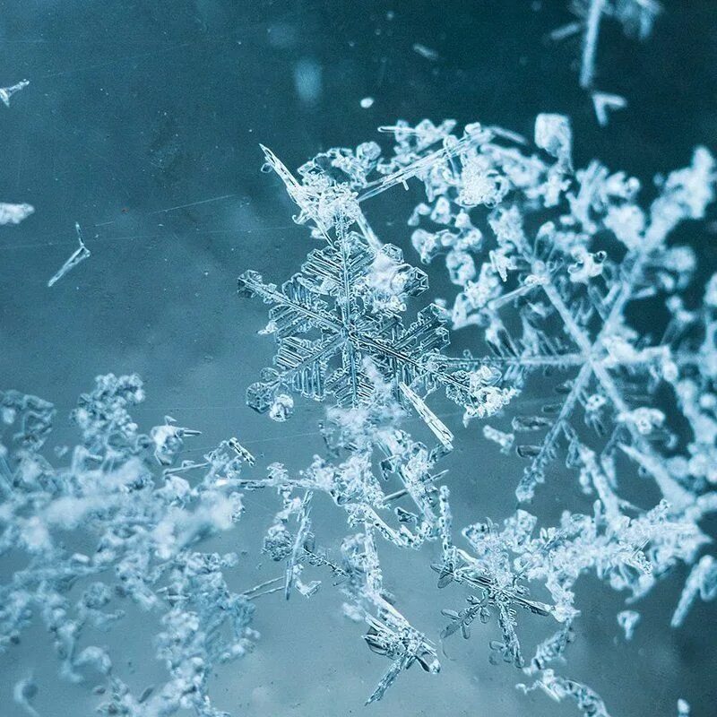 Зачем земле снег. Кристаллики снега. Хрустящий снег. Кристаллы снежинок. Хруст снега.