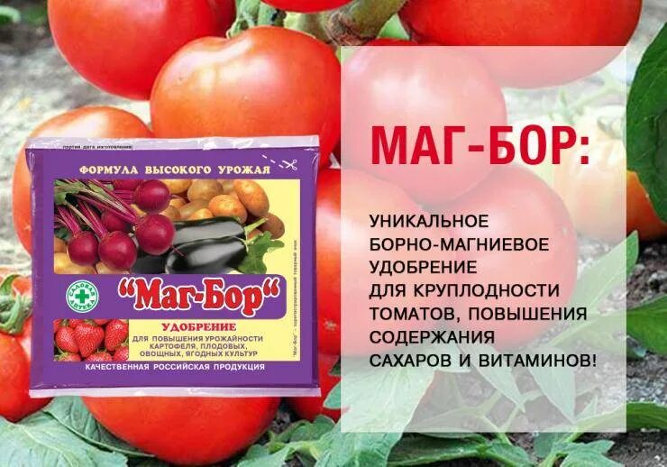 Магний Бор для томатов. Маг Бор 100гр. Маг-Бор удобрение. Удобрение маг Бор состав.