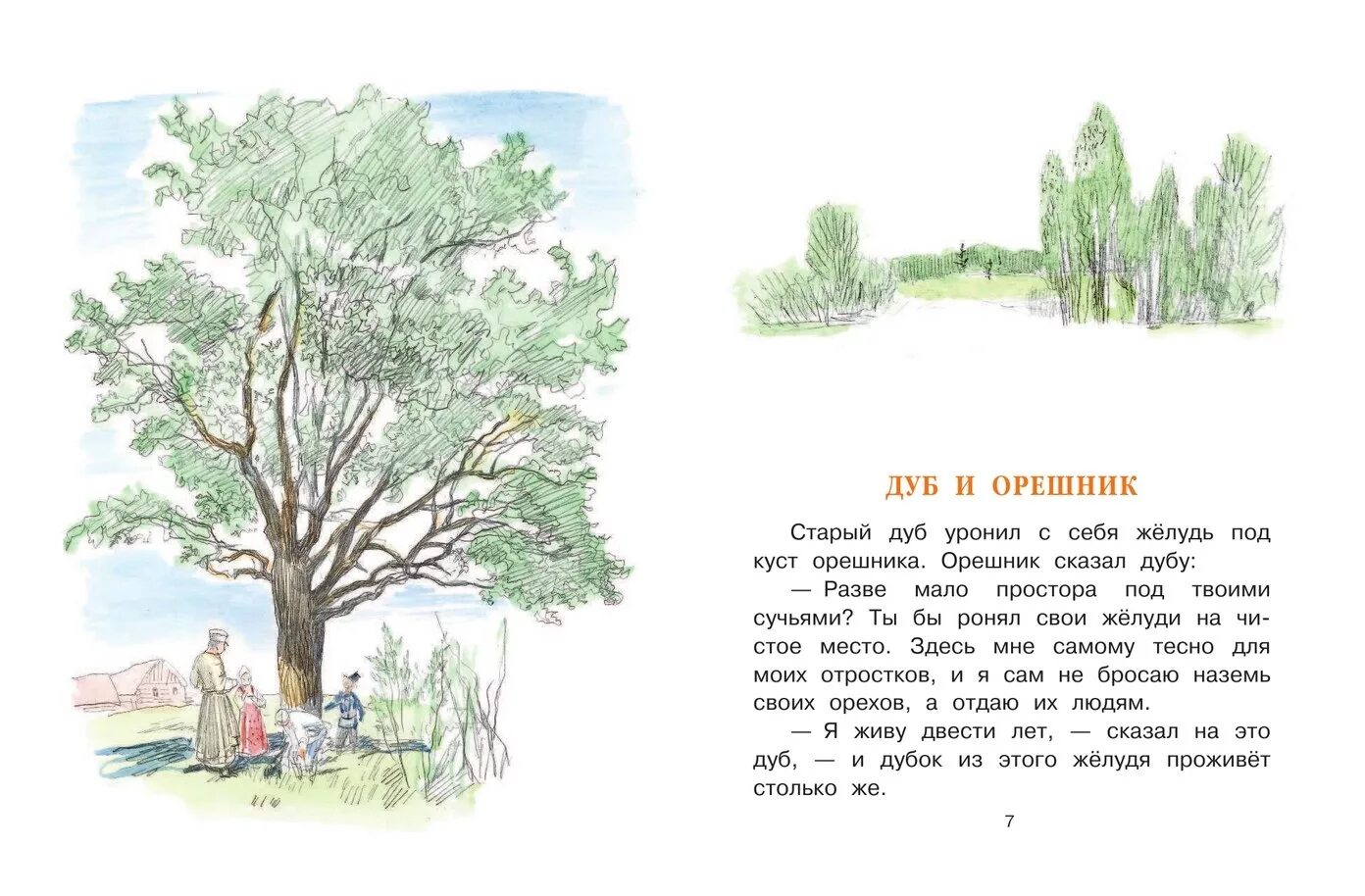 Читать про деревьев. Лев толстой дуб и орешник. ушинский спор деревьев иллюстрации. дуб сказка. л н толстой дуб и орешник иллюстрации.