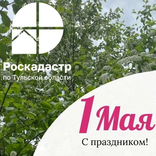 роскадастр тула. тула ул. публичная кадастровая карта владимирской области. комсомольская 45 тула. ппк роскадастр.