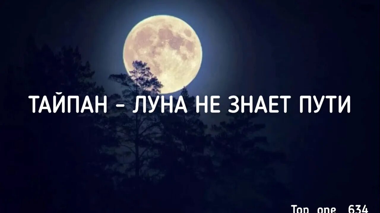 Песня луна на звонок. Луна не знает пути. Луна не знает пути слова. Текст песни Луна не знает пути. Тайпан Луна не знает пути.