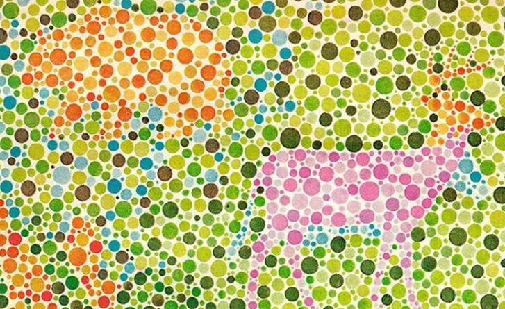 Why Website Design Needs to Go Beyond Color Web design class, Website design, We