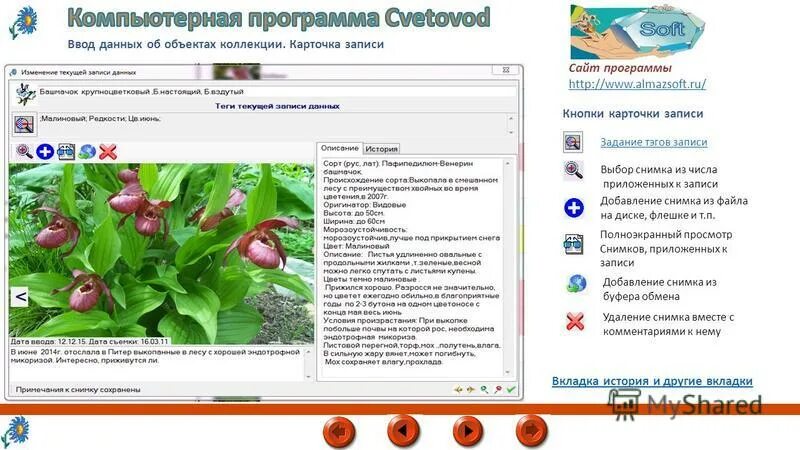 ,домашняяфотостудия6прогремма. Домашняя школа interneturok. Домашний урок. Домашняя фотостудия программа. Основные характеристики безопасности safari.