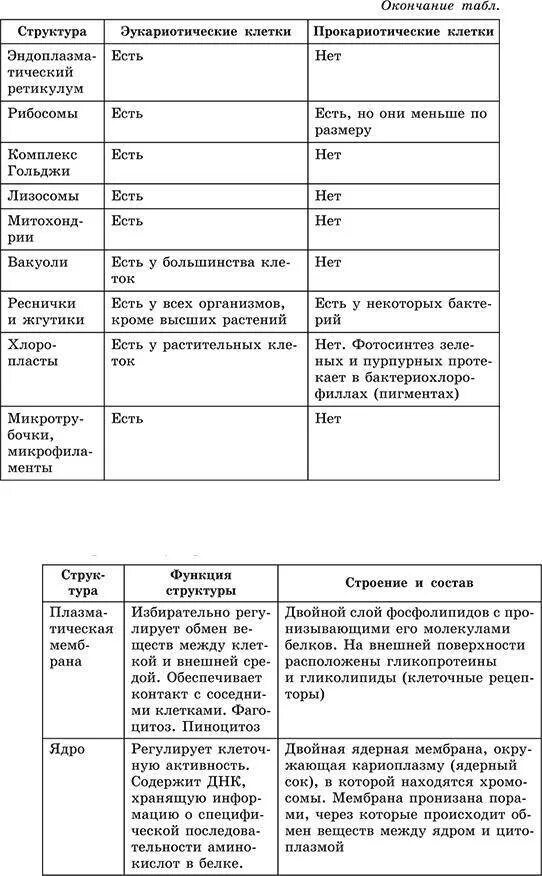 Сравнение клеток прокариотов. Особенности прокариотической клетки и эукариотической. Сравнение прокариот и эукариот таблица. Сравнение клеток прокариот и эукариот. Клетка Прокариотическая и эукариотическая сравнение.