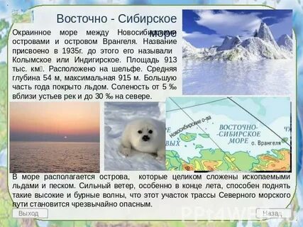 Соленость сибирского моря
