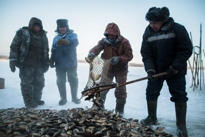 Ловит установить. Мунха в Якутии. Мунха в Кобяйском улусе. Рыбалка в Якутии мунха. Подледная рыбалка в Якутии.