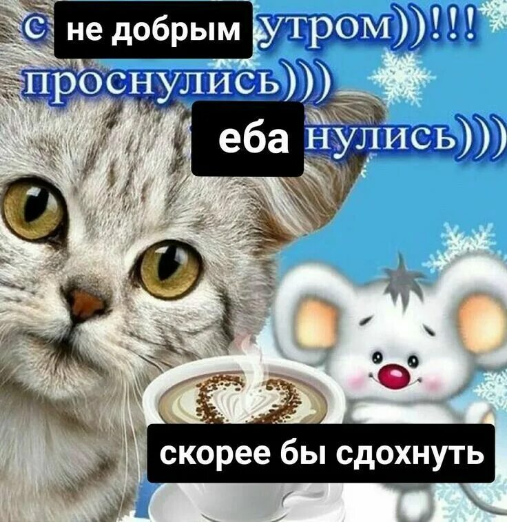 Good morning! Доброе утро! Смешные мемы, Веселые мемы, Смешные валентинки
