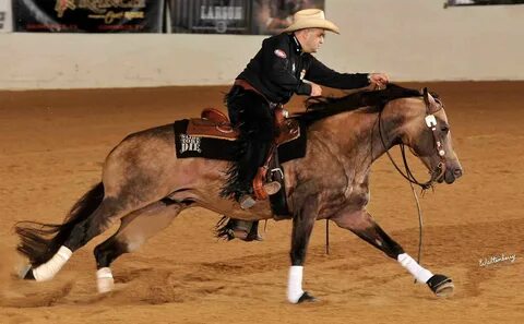 CFR Centenario Wimpy aka Rio Reining horses, Barrel racing horses, Horses