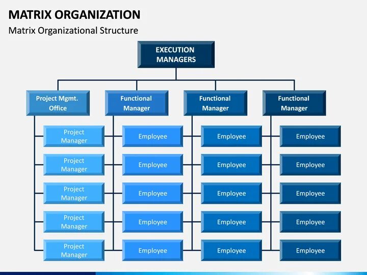 Project organizational structure. Matrix manager. Matrix structure of company. Matrix organizational structure. Matrix structure of company.