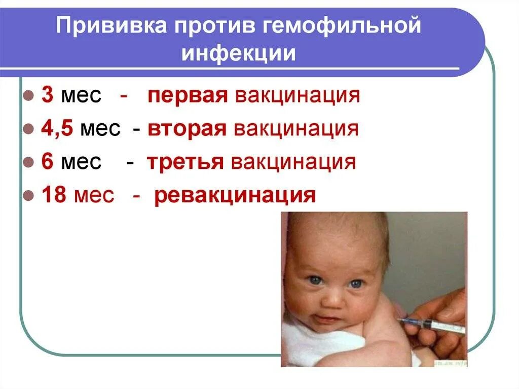 Вакцина против гемофильной. Гемофильная палочка вакцинация схема. Гемофильная инфекция прививка вакцина. Вакцинация против гемофильной инфекции схема. Схема вакцинации гемофильной вакциной.