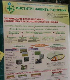 Институт защиты растений