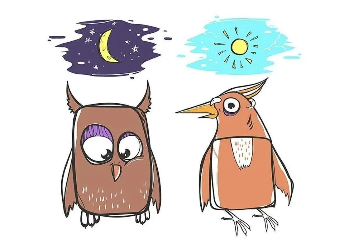 Жаворонки совы и голуби хронотипы человека. Сон жаворонки и совы. Человек с филином. Биоритмы человека сова жаворонок голубь. Биоритмы сова жаворонок голубь.