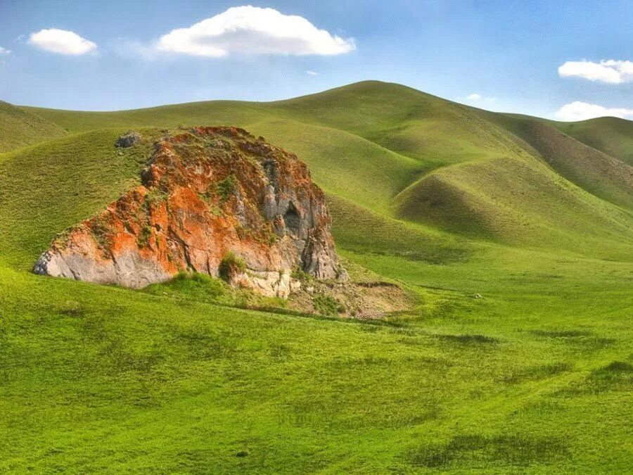 Оренбуржье места. Оренбургский Степной заповедник. Заповедник Айтуарская степь. Айтуарская степь Оренбургской области. Айтуарская степь Оренбургской области заповедник животные.