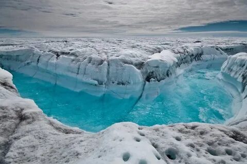 Ледники пресные или соленые