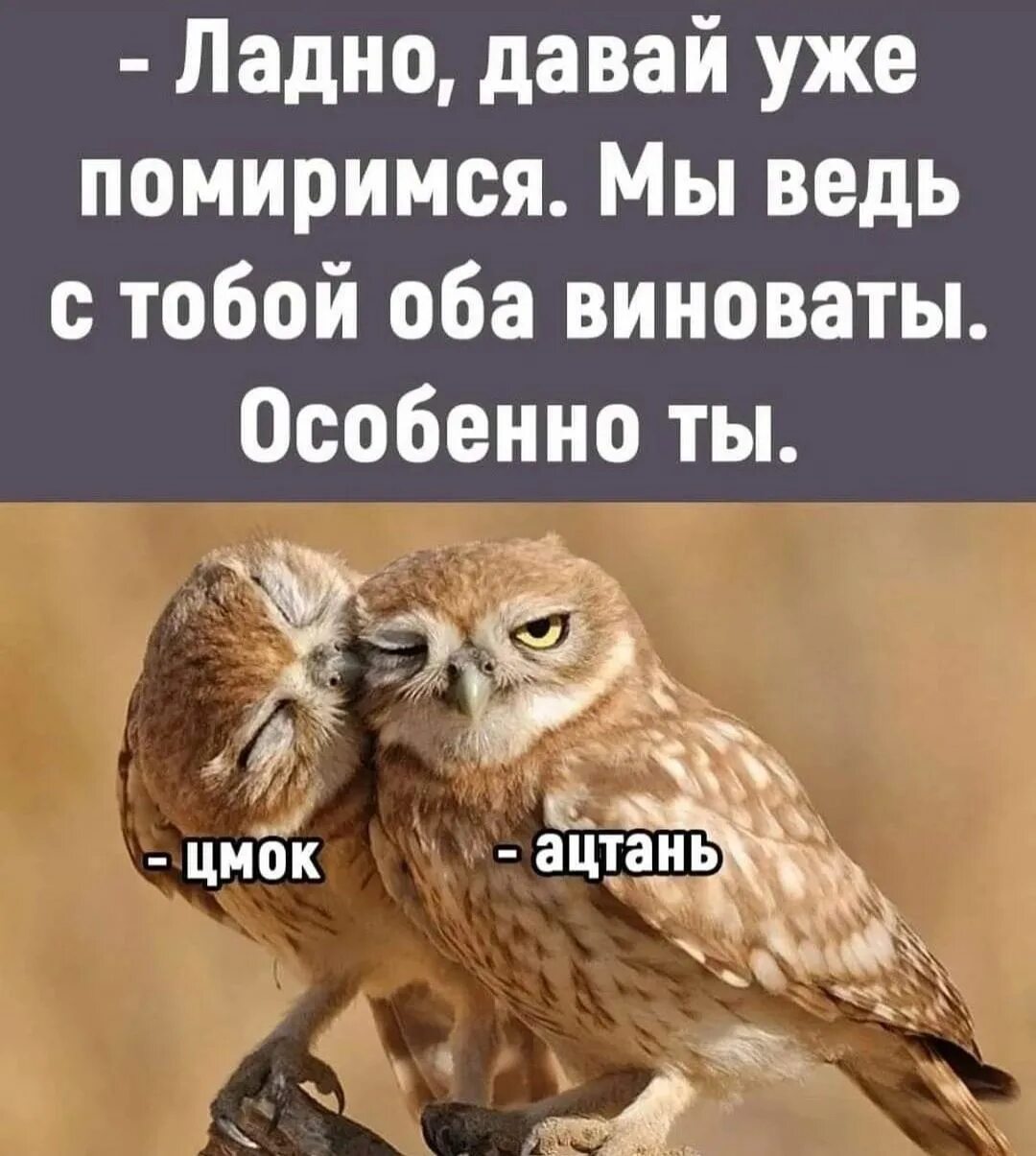 Ладно поговори. Давай мириться мы оба виноваты особенно ты. Ладно давай уже помиримся. Оба виноваты особенно ты. Ладно давай помиримся мы ведь с тобой оба виноваты особенно ты.