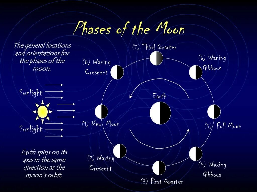 Current phase of the moon. Фазы луны для школьников. фазы луны на английском. фазы луны phases of the moon. phases of the moon in english.