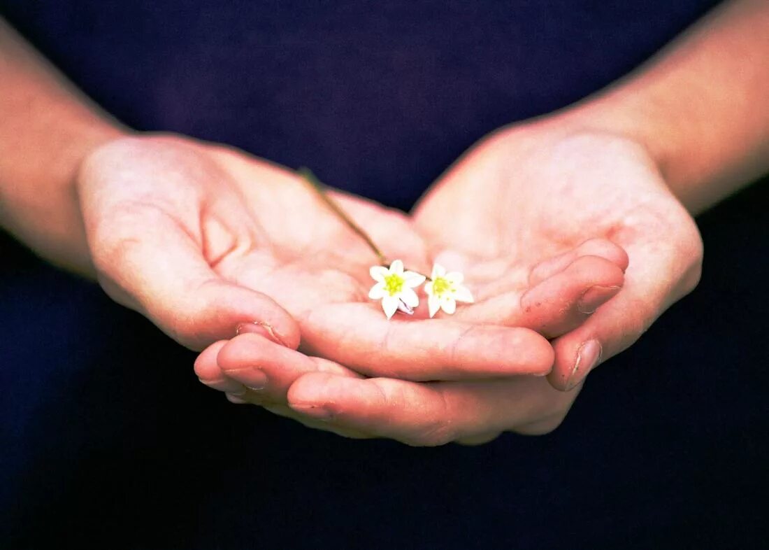 Молитва благодарю бога. Благодарность школе. Значение слова спасибо и благодарю. Благодарю волшебное слово. Сила благодарности.