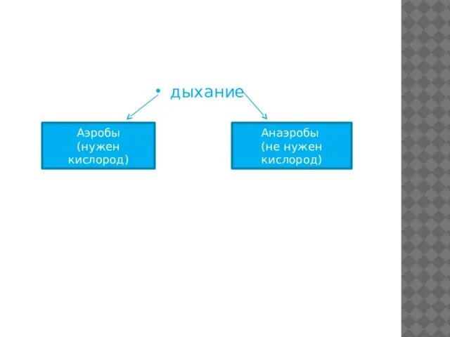 Аэробы кислород. Дыхание аэробов. Аэробы и анаэробы. Аэробы это. Кислород аэробы.