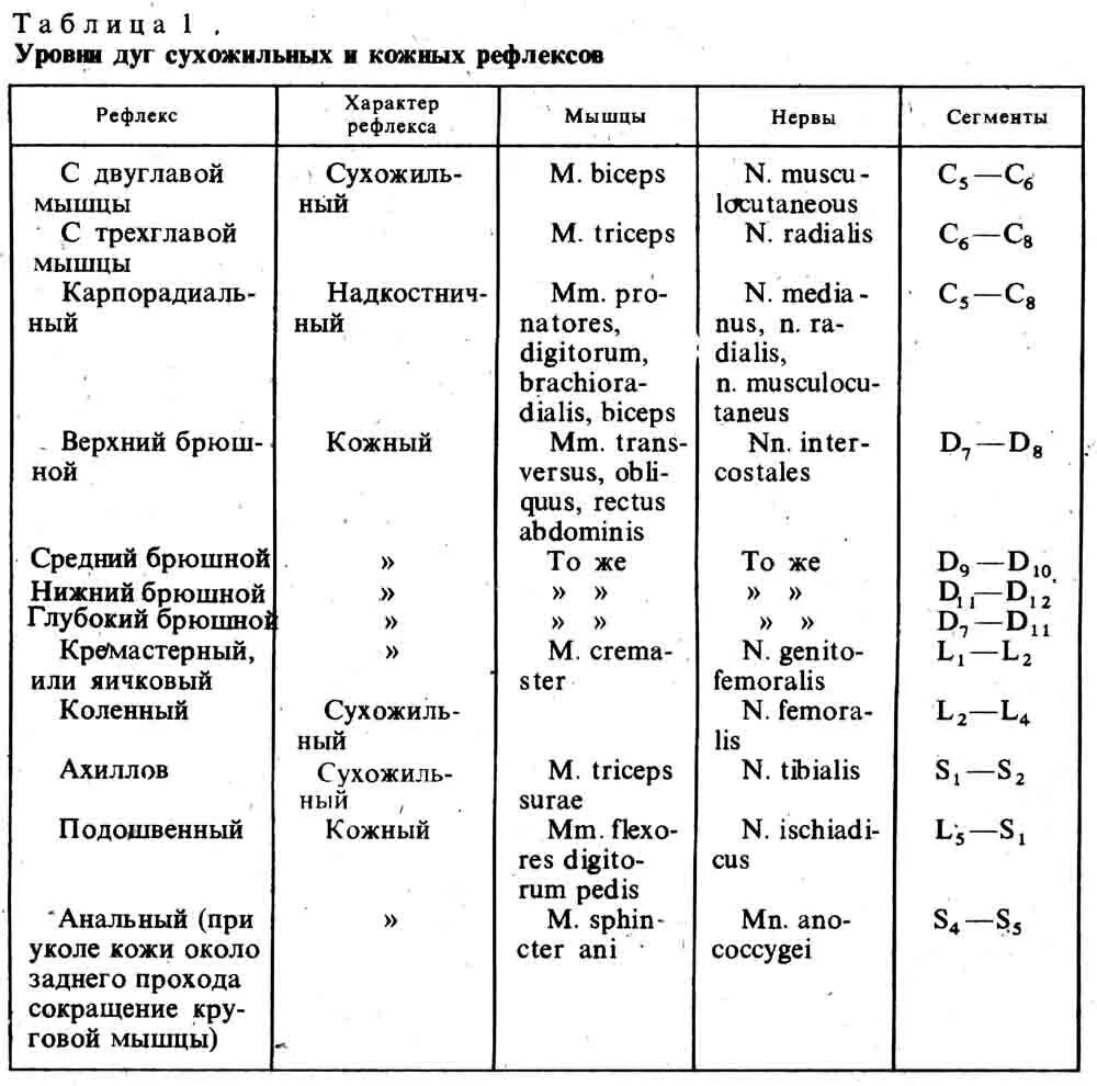 Уровни замыкания сухожильных рефлексов. Сухожильные рефлексы таблица. Исследование сухожильных рефлексов у человека. Сухожильные рефлексы конечностей.