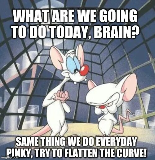 Everyday the same. Same thing we do every Day, Pinky. Same thing we do everyday Pinky Broadway. What are we going to do today Brain. Gau do every Day.