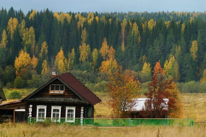 деревенский домик. фировский район тверской области лес. домик в деревне. в лесу поселке живу. заимка охотника в тайге.