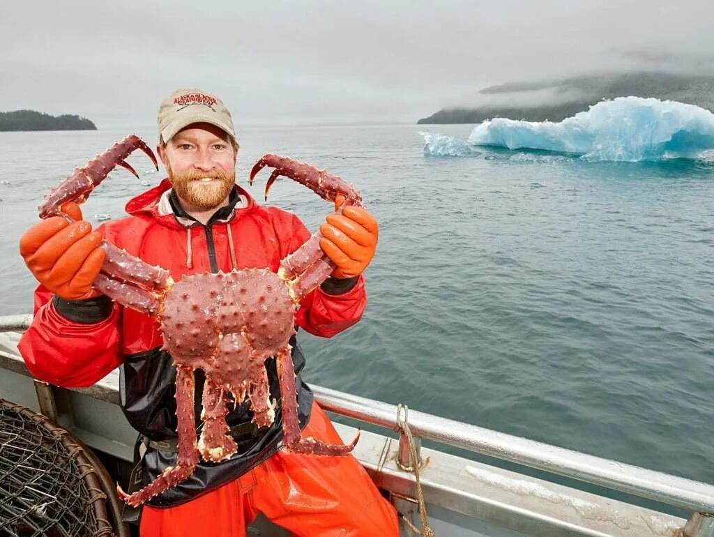 Камчатский краб Охотское море. Краболовы Охотское море. Териберка Камчатский краб. Камчатский краб Аляска.