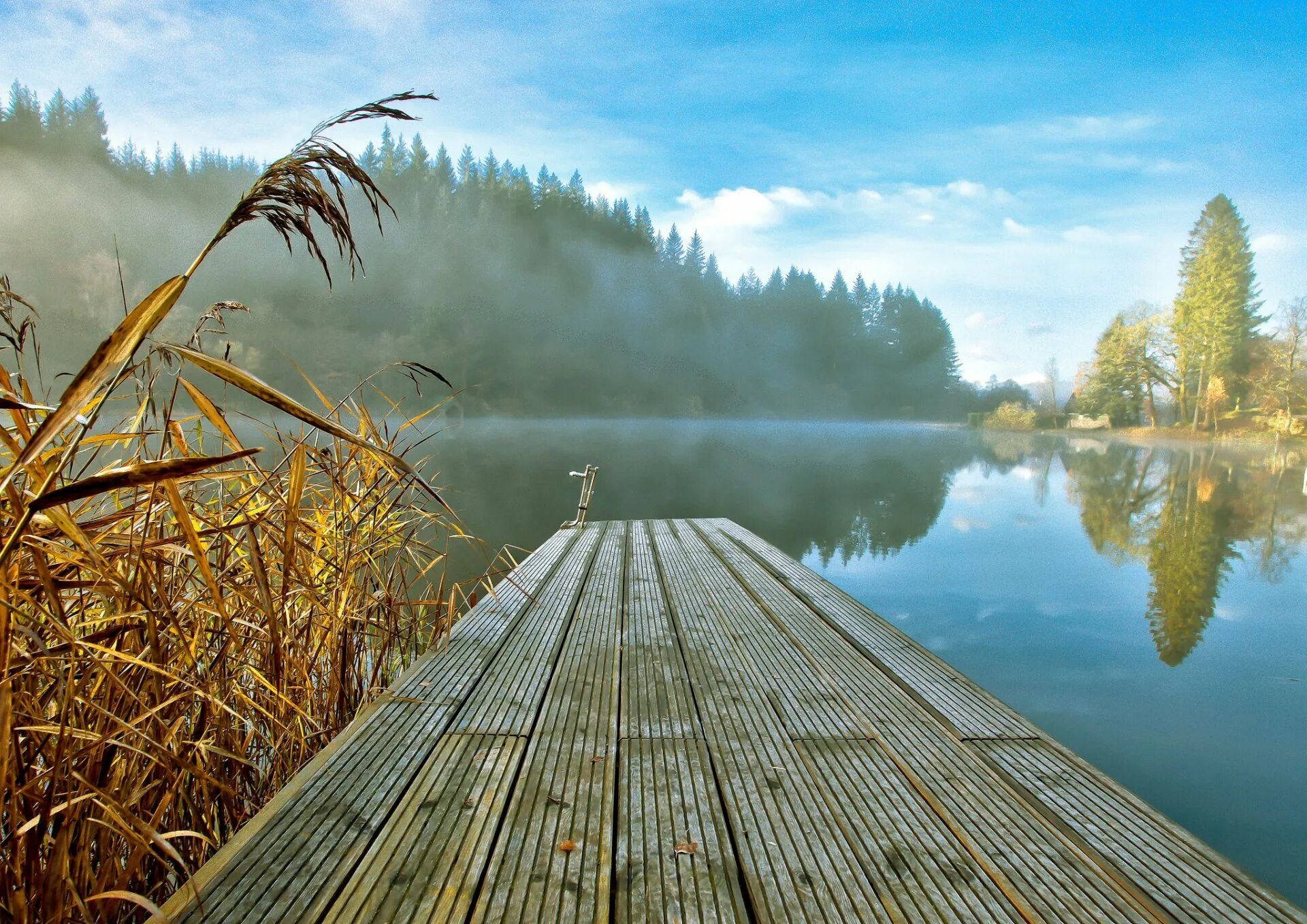 Мостик на озере. Речной пейзаж. Озеро в лесу. Красивые пейзажи с водой. Звук берега озера
