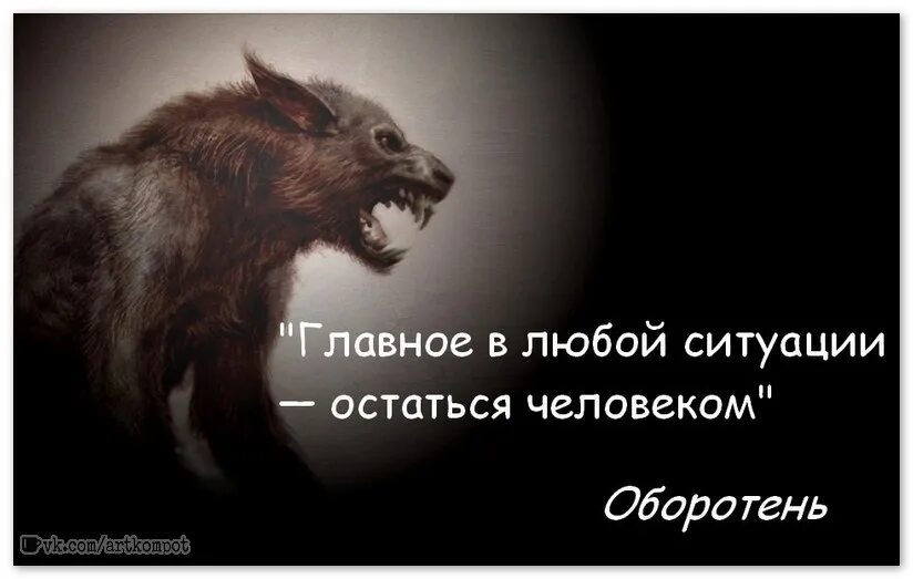 Оставаться человеком в любой ситуации. Главное оставаться человеком. Важно оставаться человеком в любых ситуациях. Оставайтесь людьми в любой ситуации цитаты.