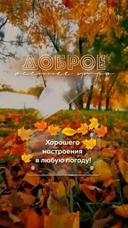 Доброе утро октябрь картинки красивые осенние необычные