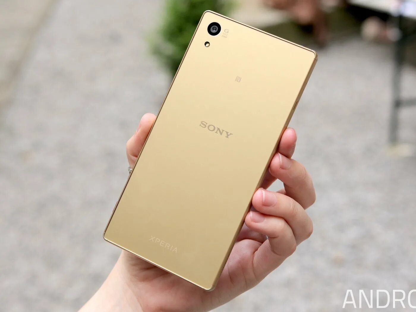 Xperia z5 цена. Sony Xperia xa1 Plus Gold. Sony Xperia z5. Sony Xperia z5 золотой. Sony Xperia z5 Premium Gold.