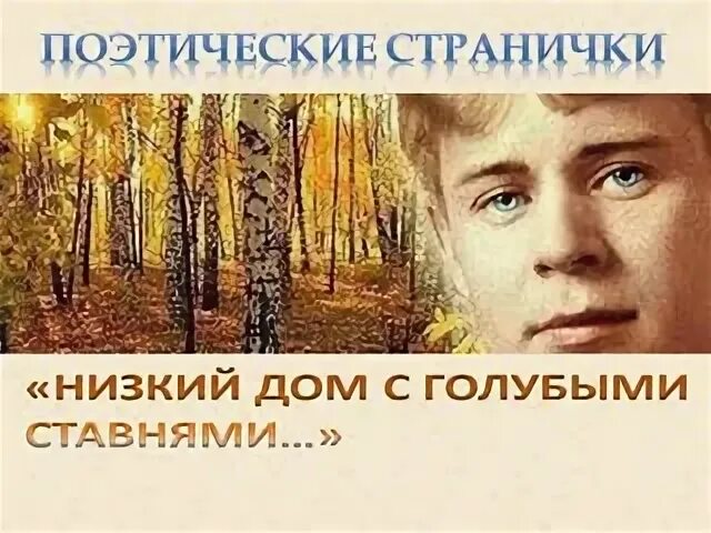 С голубыми ставнями мем