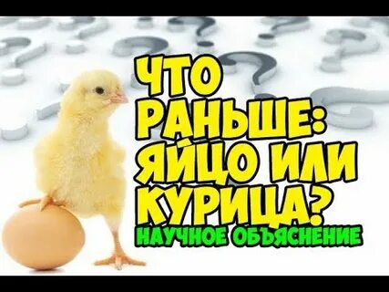 Почему яйцо раньше