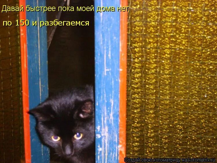 Давай я жду. Монашки мемы. Давай быстрее пока. Кот развратник. Давай быстрее.