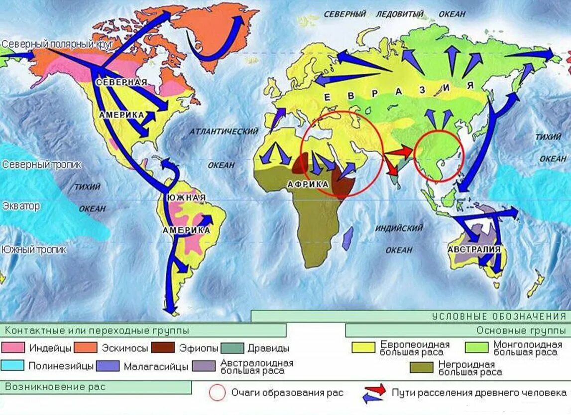 Великие народы на земле. Расселение древних людей по земле. Карта заселения земли человеком. Распространение древних людей на земле.