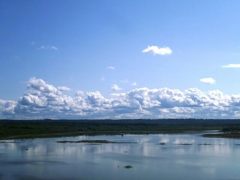 Томь приток зеи. Исток реки зея амурская область. Река томь. Карта реки томь кемеровской обл. Остров буян на реке томь.