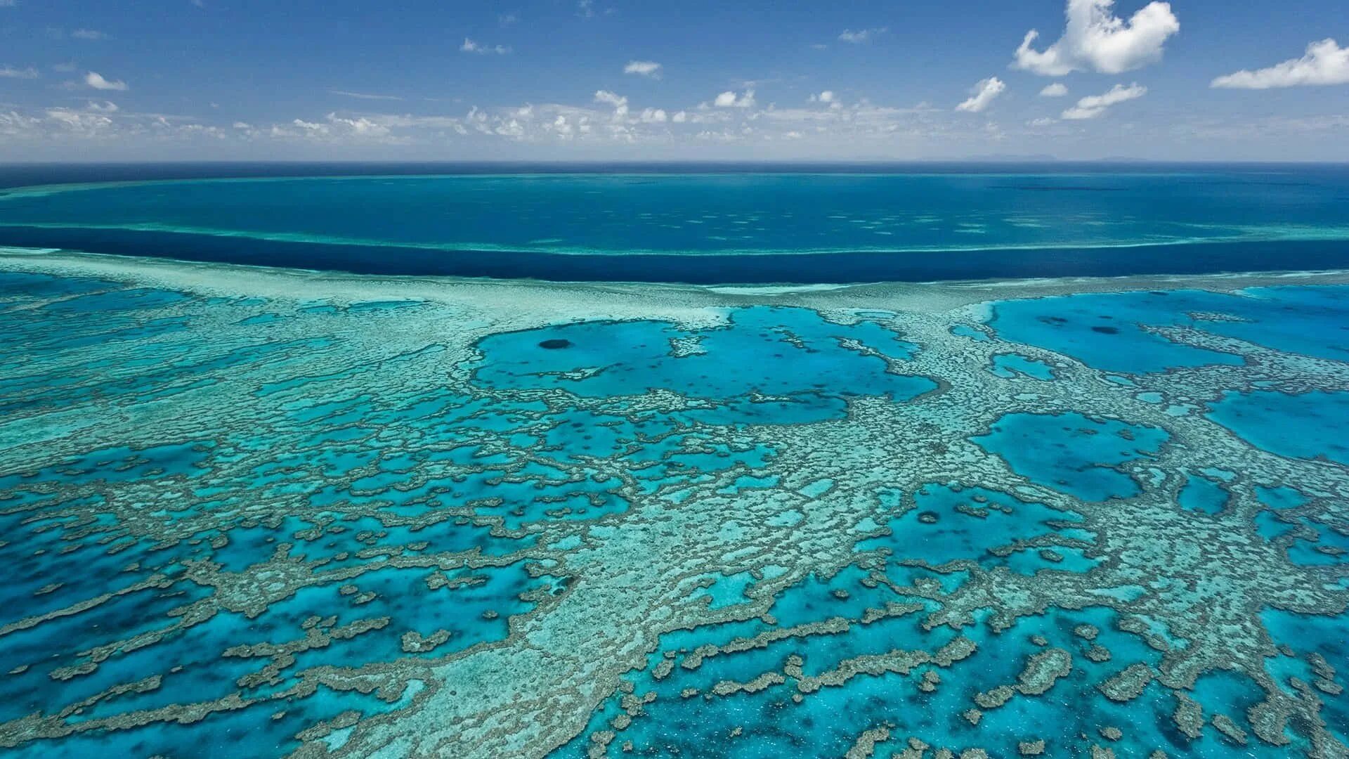 Какие есть тихие океаны. Большой Барьерный риф. Большой Барьерный риф Квинсленд. Коралловый риф в Австралии. Большой Барьерный риф (ББР), Австралия.