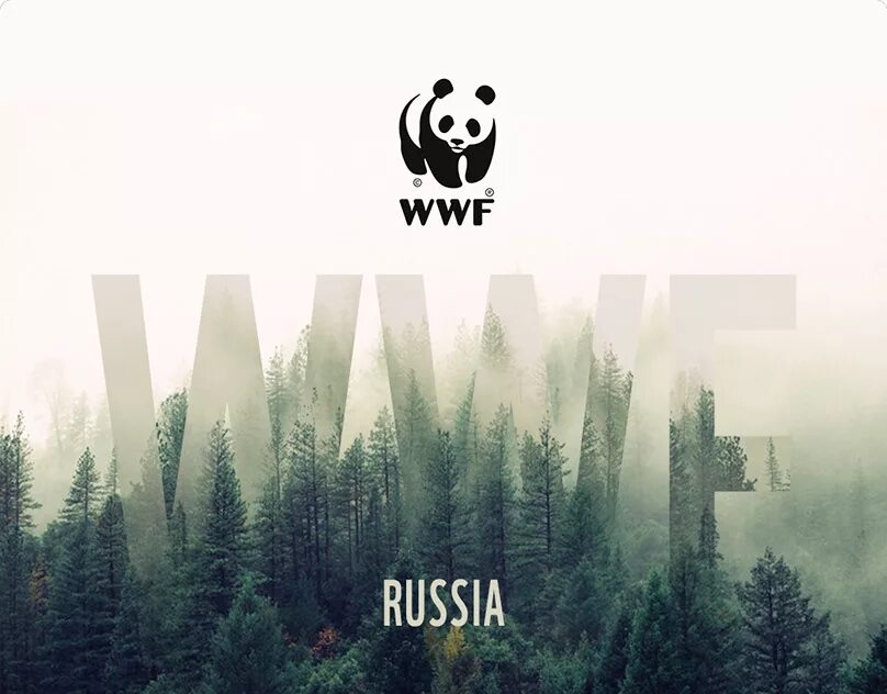 Всемирный фонд дикой природы WWF России. Всемирный фонд дикой природы эмблема. Фонд WWF. Панда символ Всемирного фонда дикой природы.