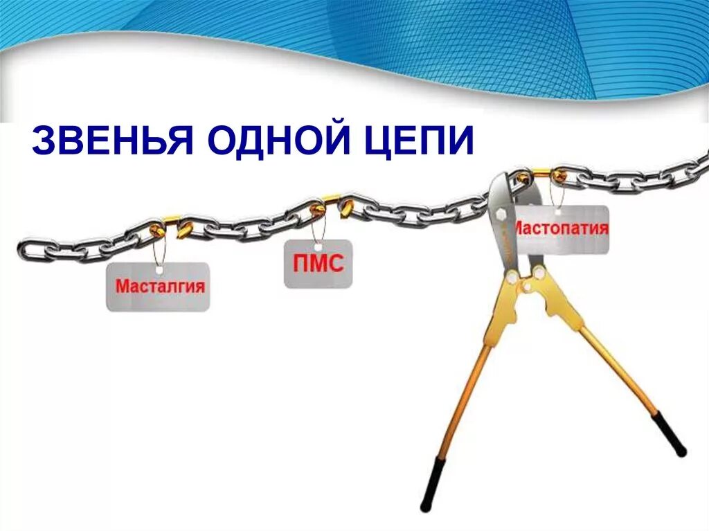 Цепь звено описание. Звено цепи. Звено Цепочки. Цепь звено в звено. Звенья одной цепи.