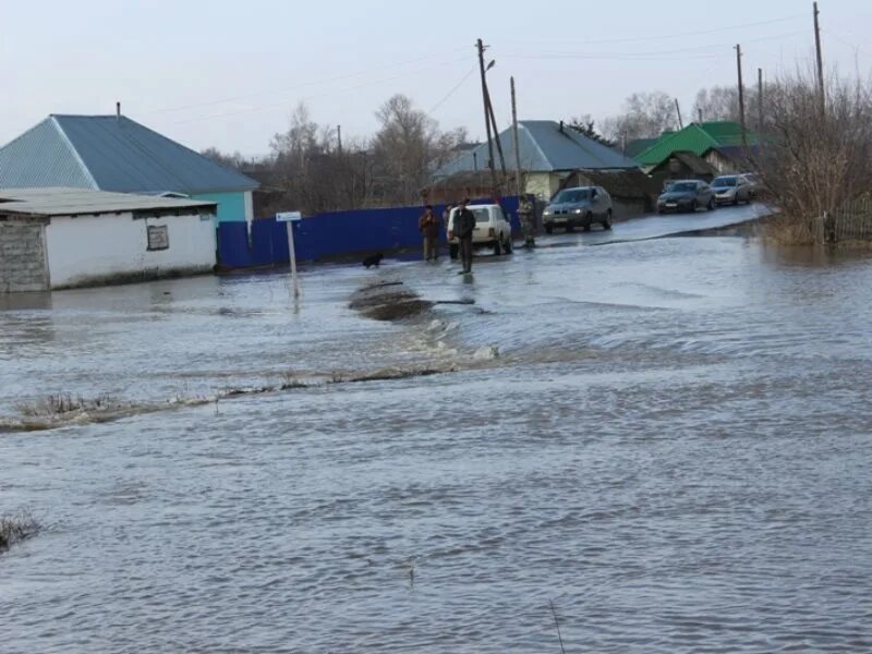 Погода в краснощеково алтайского на 10 дней. Краснощеково Алтайский край потоп. Наводнение Краснощековского Алтайского края 2014. Наводнение в Краснощеково 2014. Село Краснощеково Алтайский край.