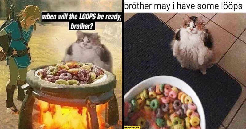 Can you give me some time. Loops мем. loops cat. brother may i have some loops. lööps.